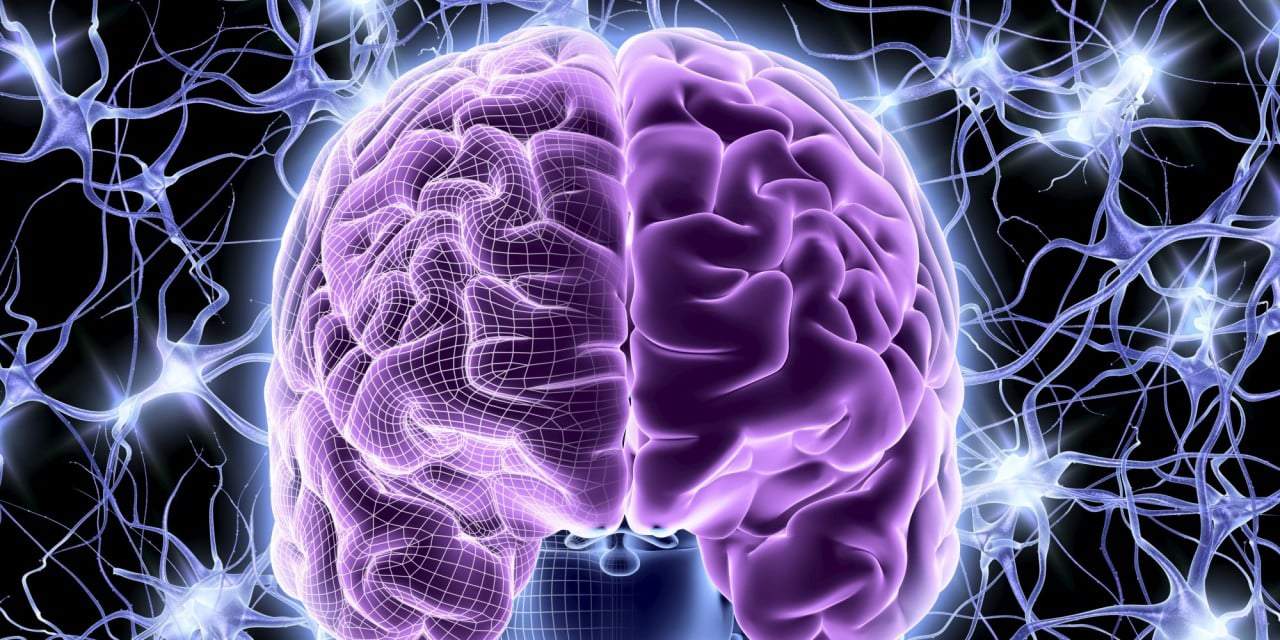 Células-Tronco Induzidas Podem Curar Danos Cerebrais, Diz Estudo.