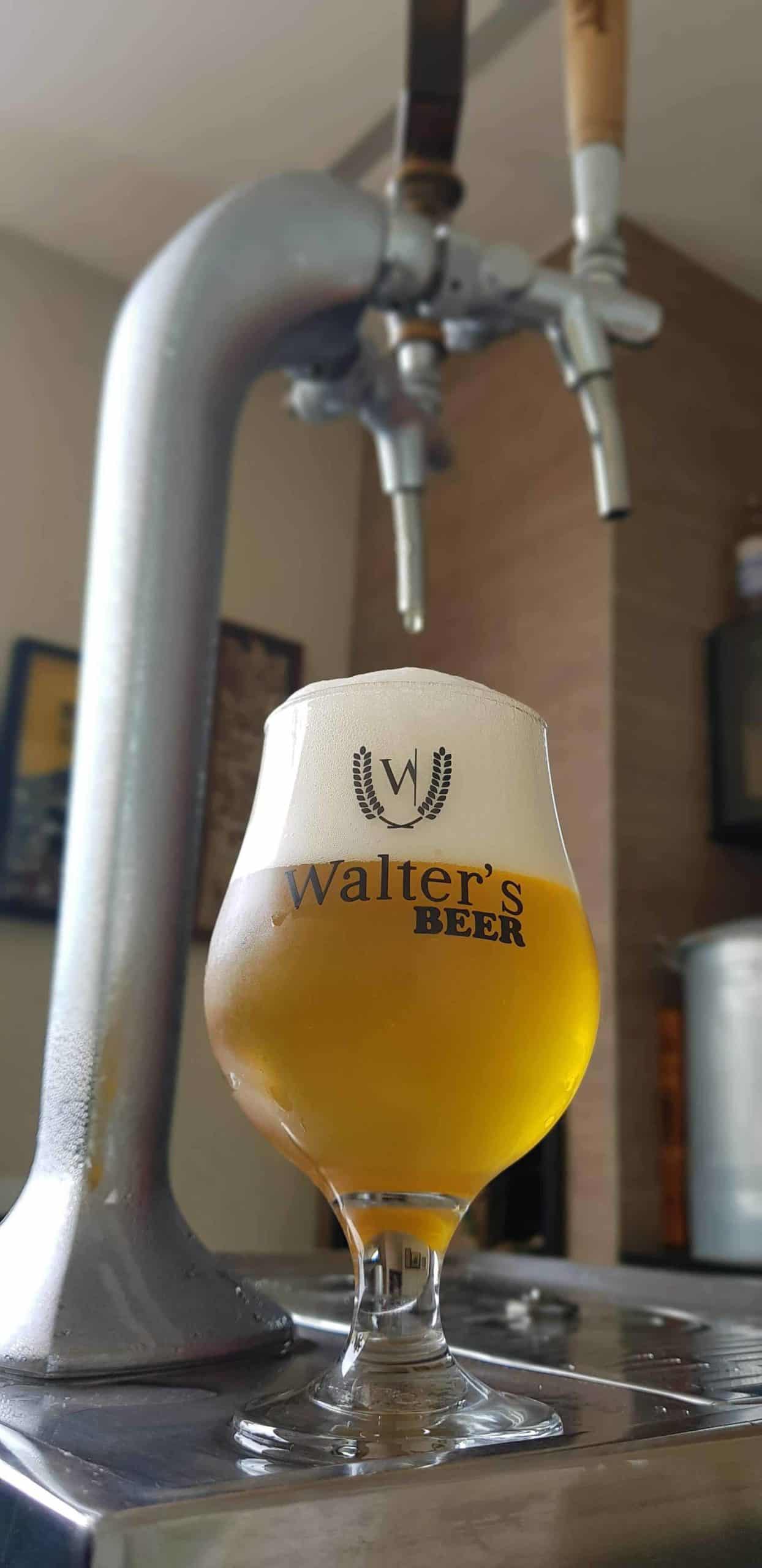 Cerveja Walter'S Beer Experience